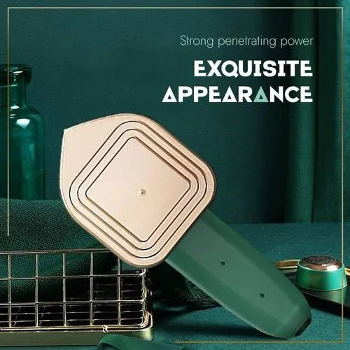 Handheld Portable Garment Steamer & Ironing Machine